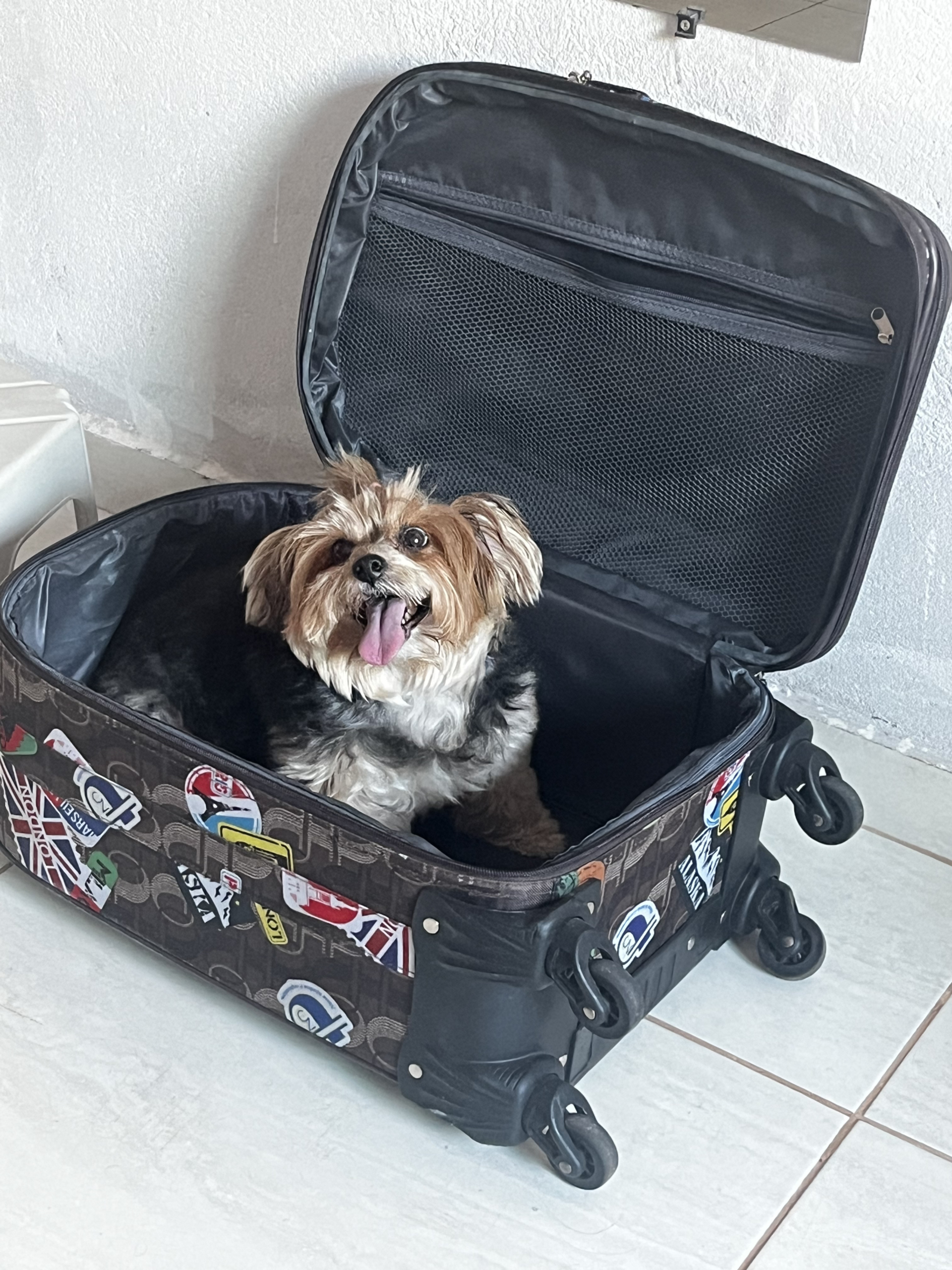 Postagem Instagram Mari Viagens